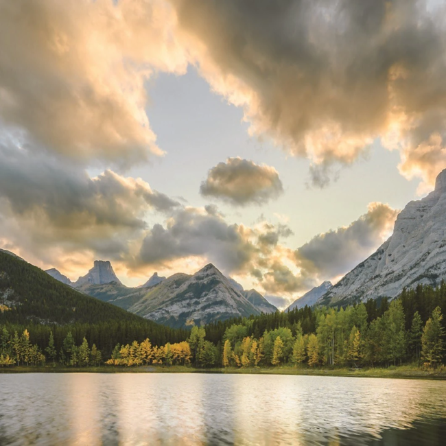 photo_2026-04-14_19-47-04