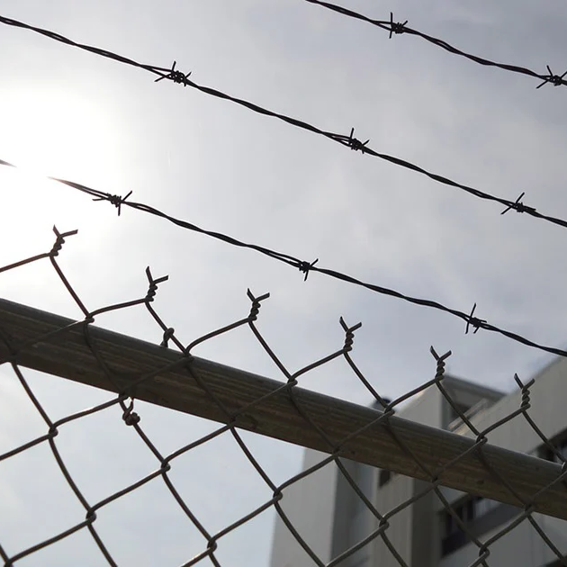 prison-fence1-lg